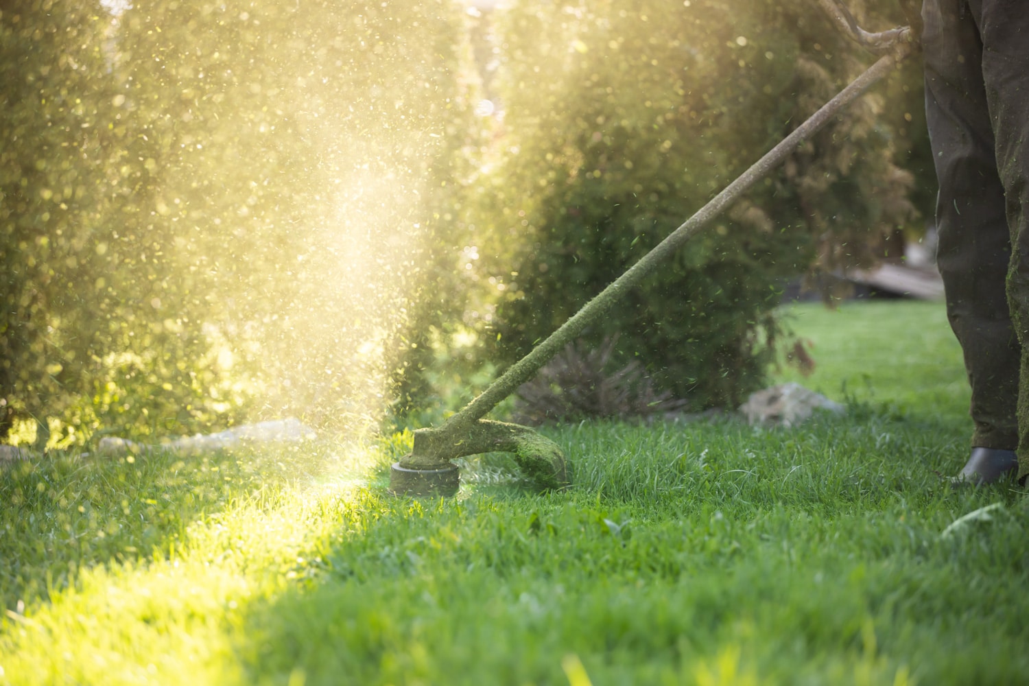 Erfarne fagfolk tilbyr plenklipping og hagestell i Volda for velstelt uteområde