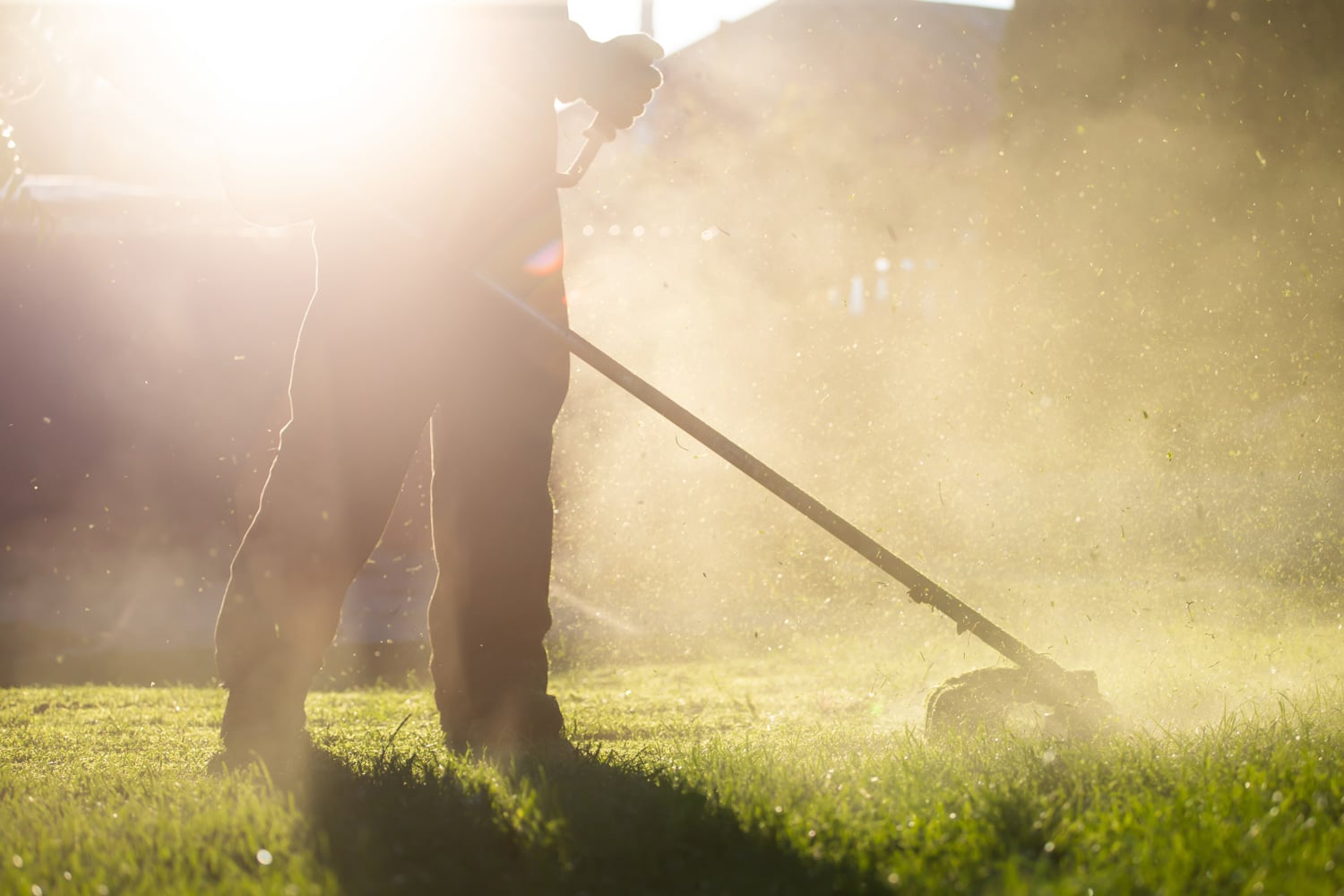 Vaktmestertjenester i Volda: Vartdal Hage Rydding og Trefelling tilbyr stell av hager rydding